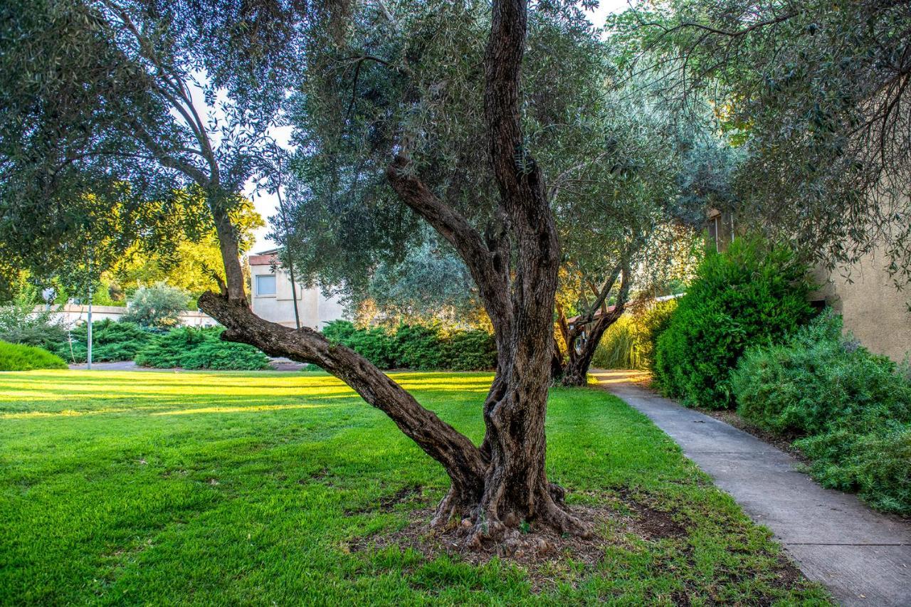 כפר הנופש קיבוץ גדות Kibbutz Gadot Galilean Resort Eksteriør billede