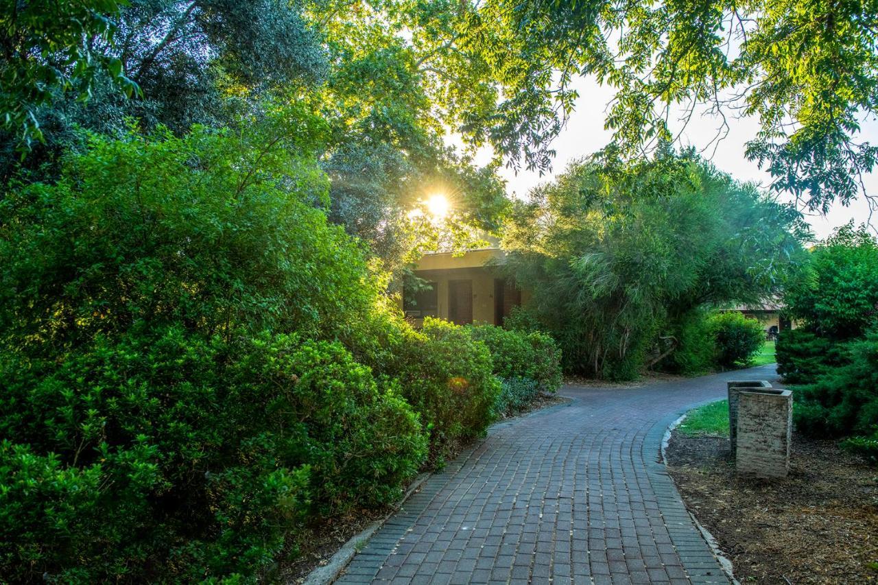 כפר הנופש קיבוץ גדות Kibbutz Gadot Galilean Resort Eksteriør billede
